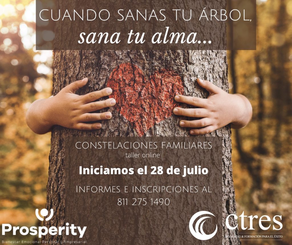 curso constelaciones familiares